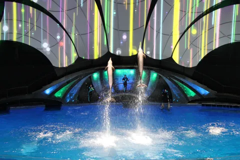 Aquarium, photo 5
