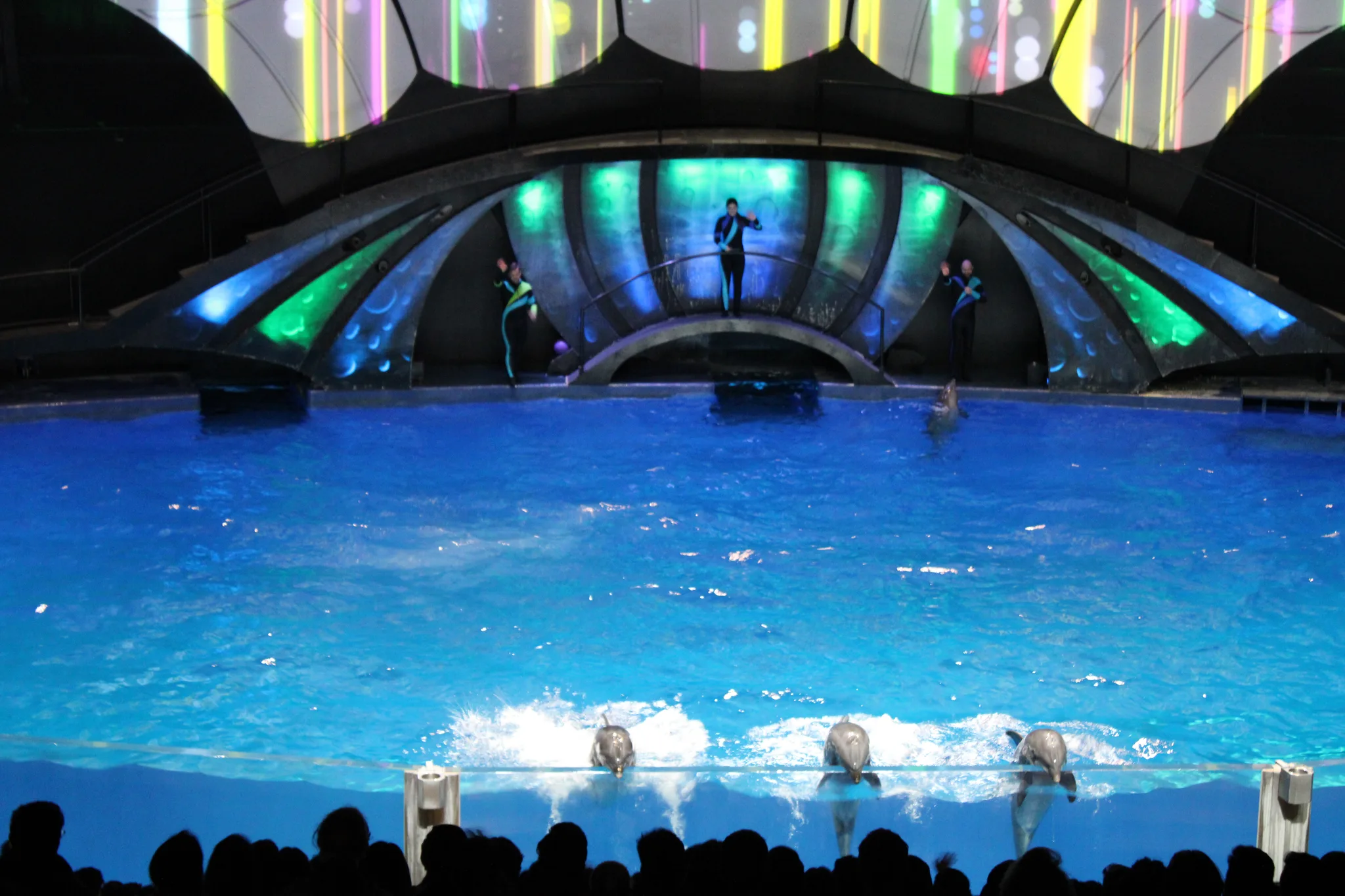 Aquarium, photo 6