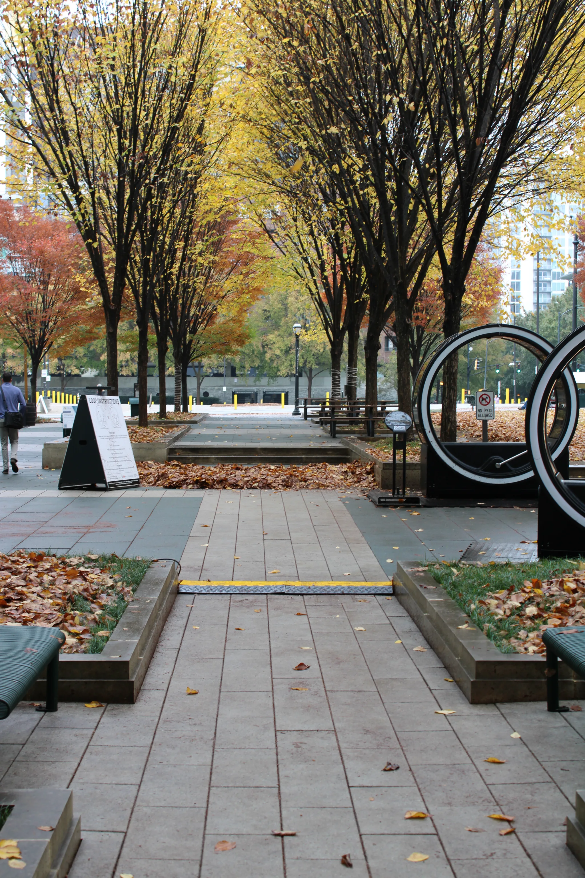 Fall, photo 1