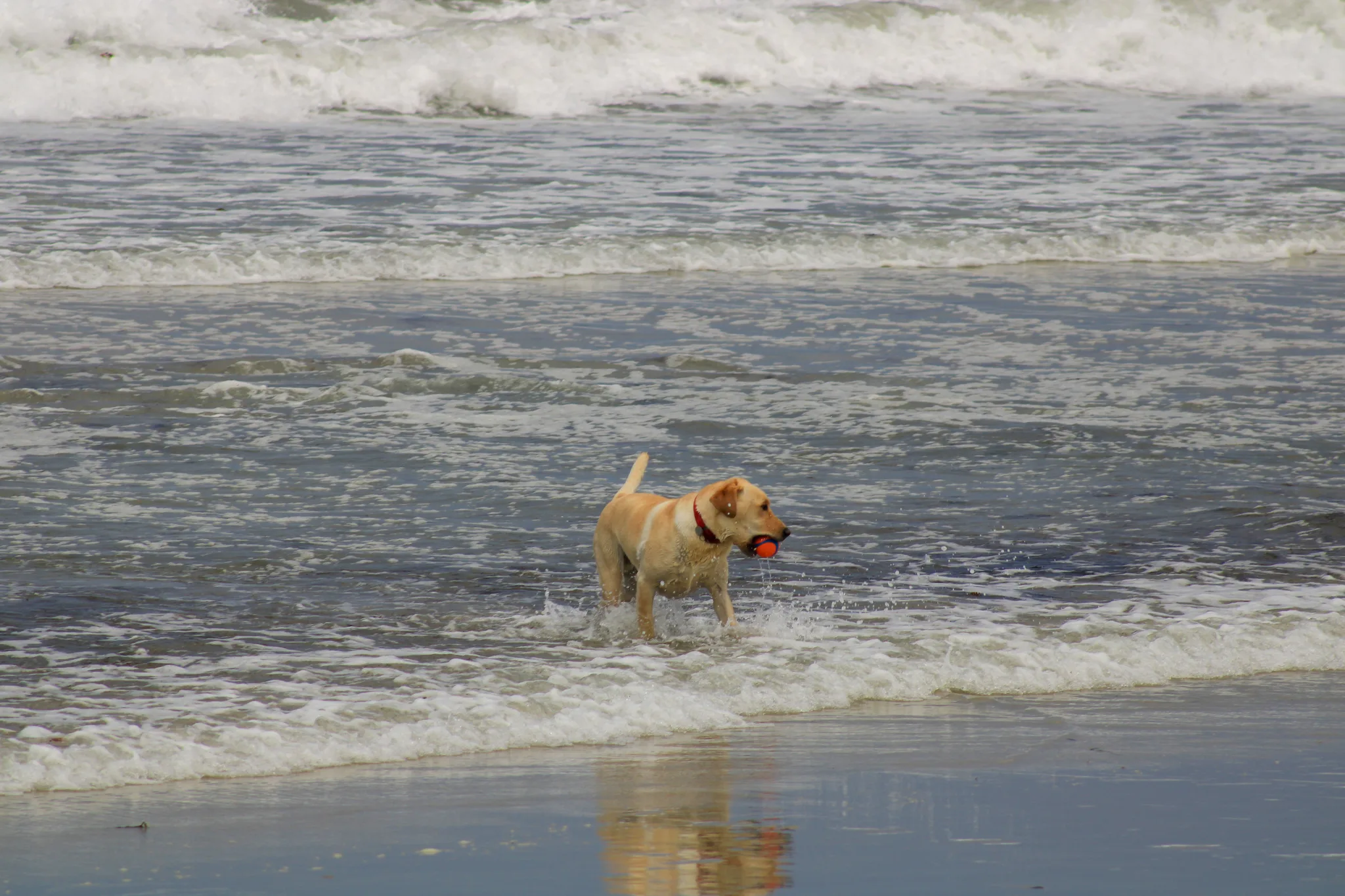 Monterey–Carmel–Big Sur, photo 2