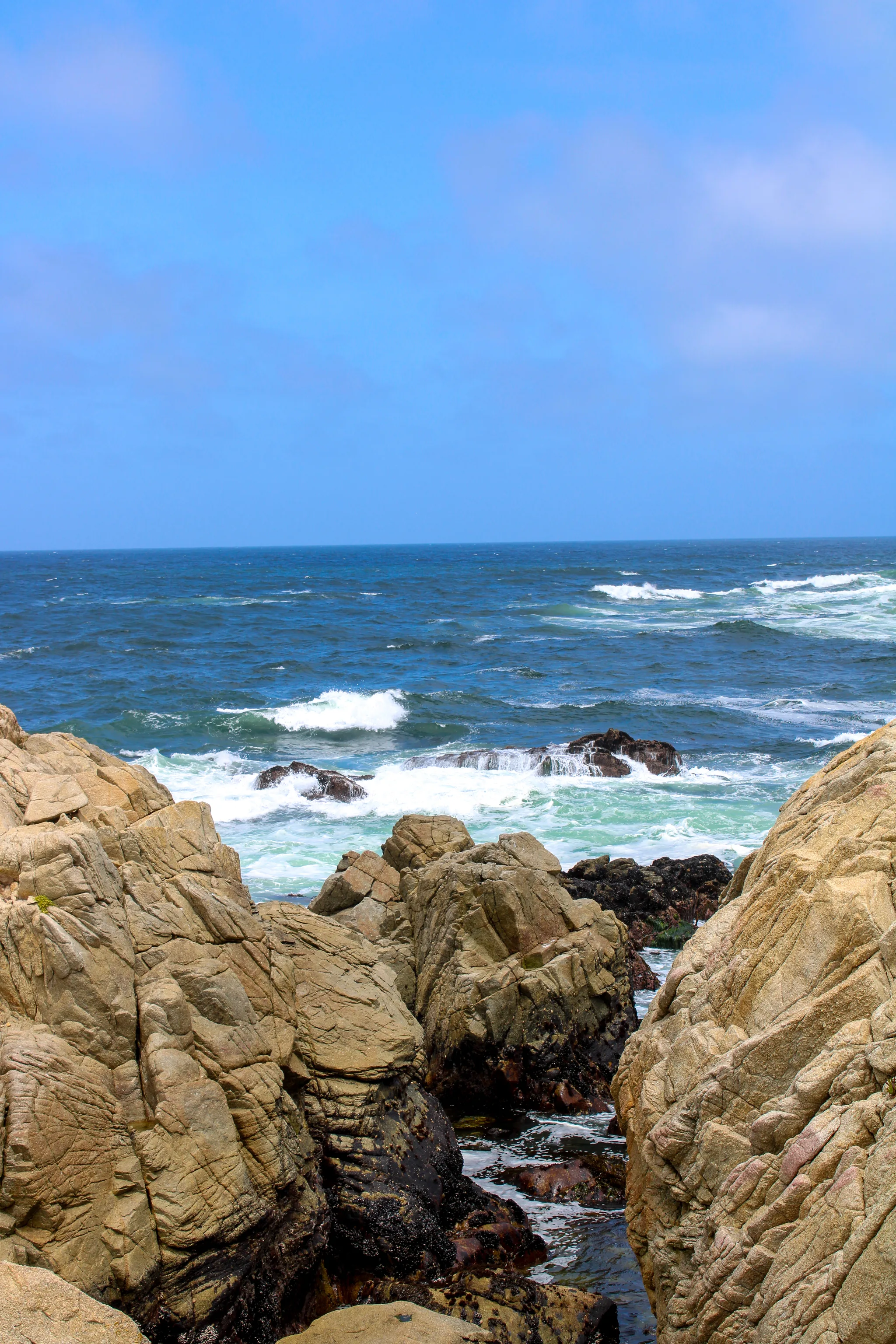 Monterey–Carmel–Big Sur, photo 4