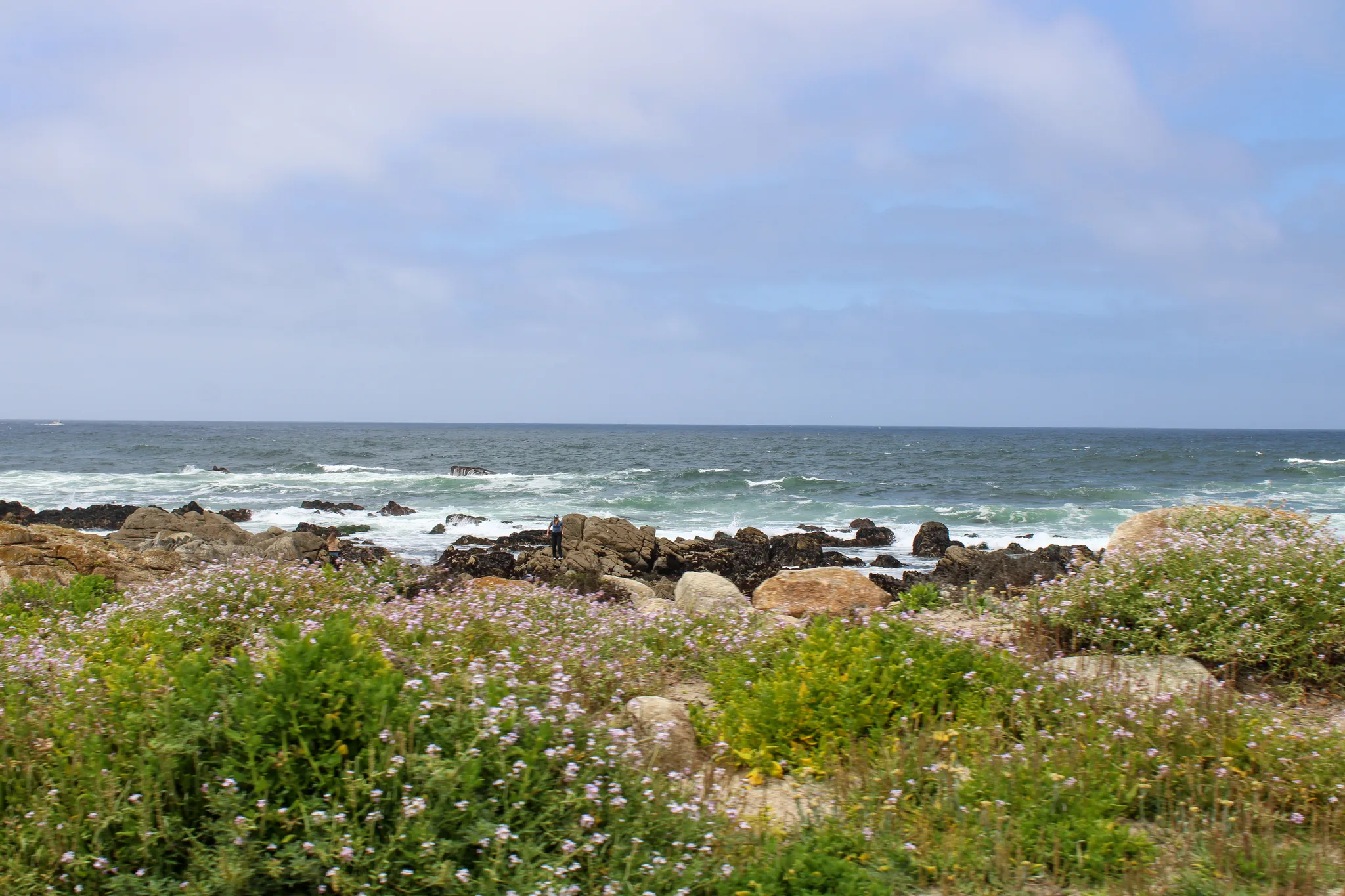 Monterey–Carmel–Big Sur, photo 6