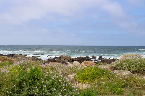 Monterey–Carmel–Big Sur, photo 6