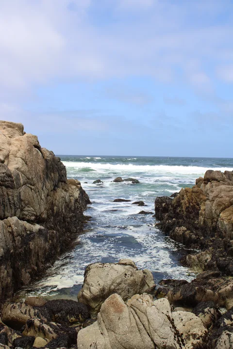 Monterey–Carmel–Big Sur, photo 7