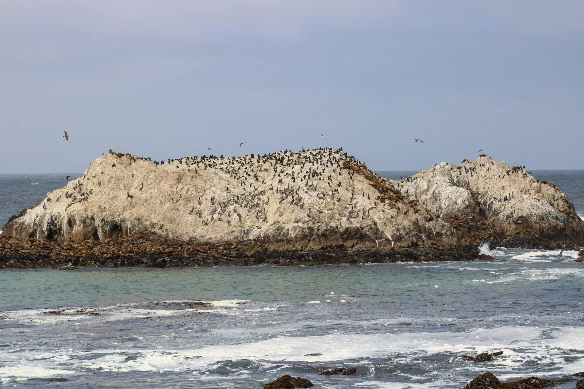 Monterey–Carmel–Big Sur, photo 9