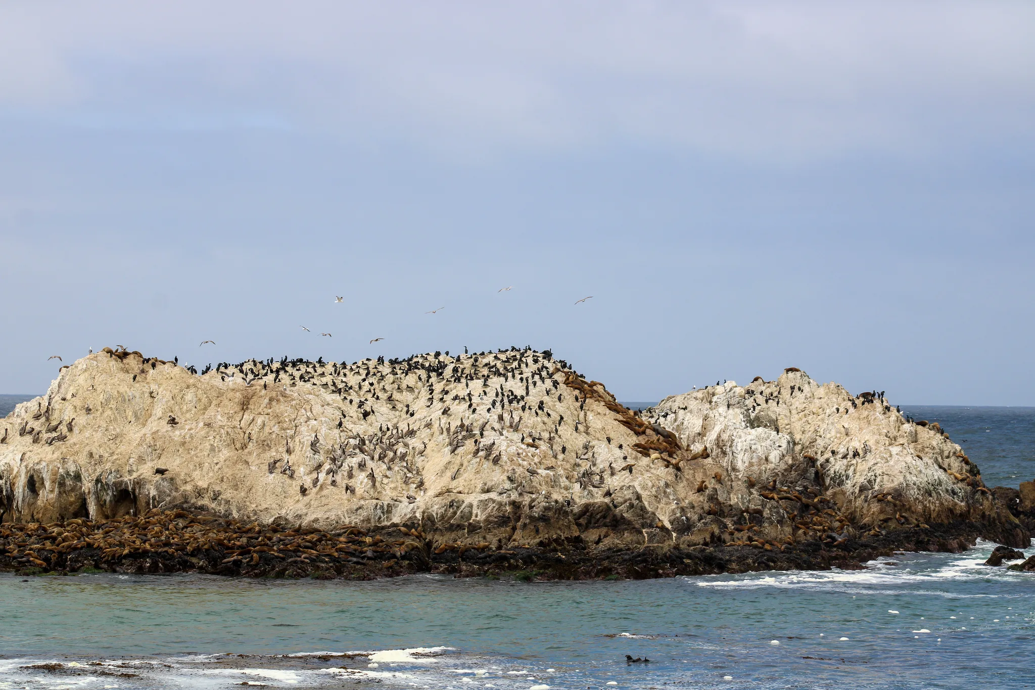 Monterey–Carmel–Big Sur, photo 11