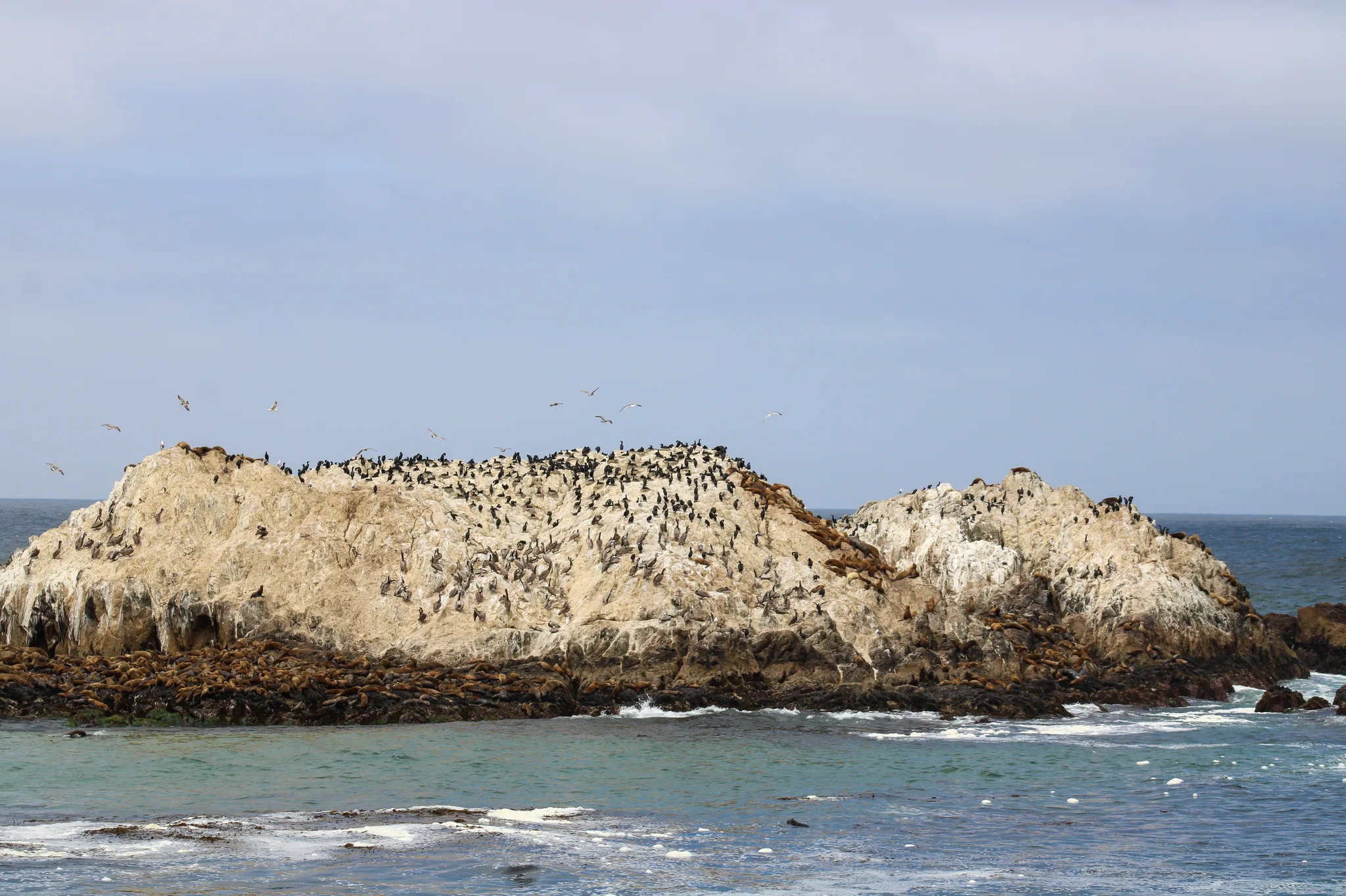 Monterey–Carmel–Big Sur, photo 12