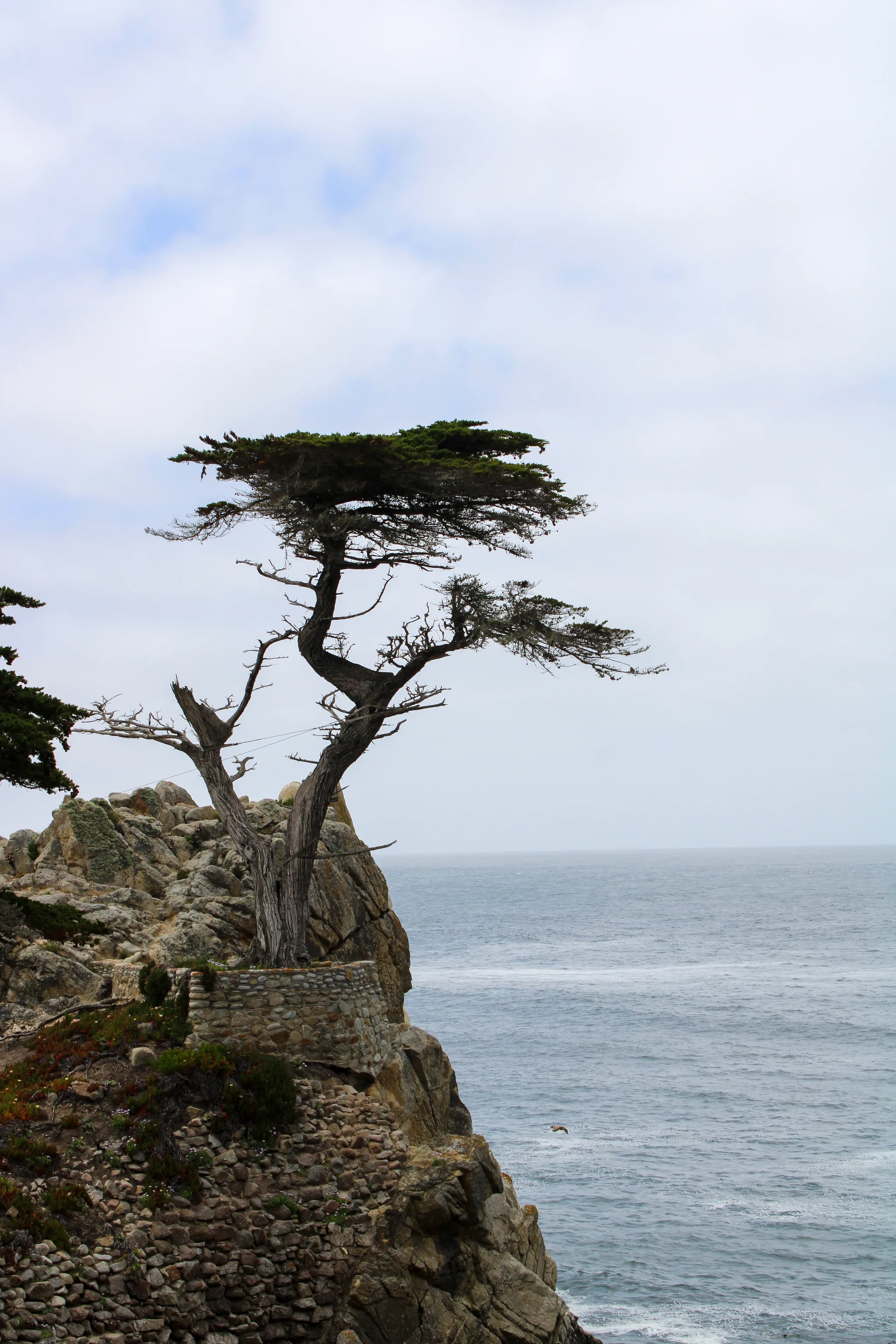 Monterey–Carmel–Big Sur, photo 21