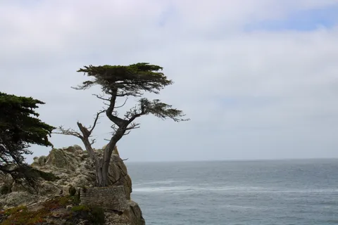 Monterey–Carmel–Big Sur, photo 22