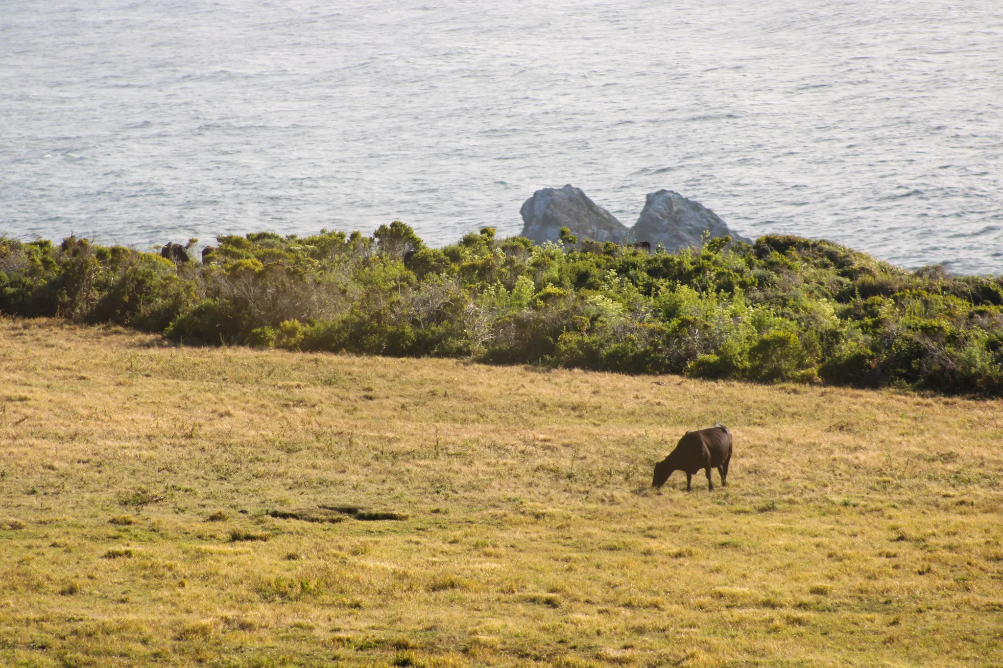 Monterey–Carmel–Big Sur, photo 30
