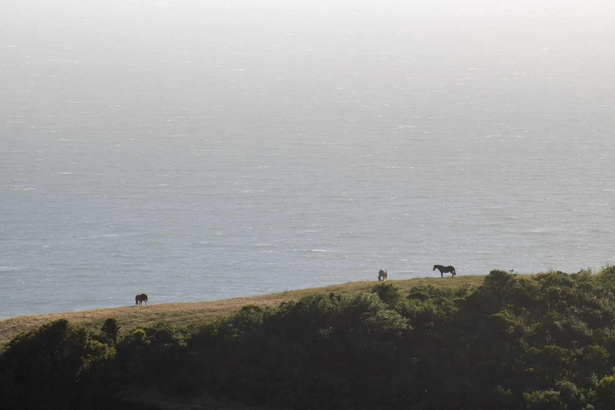 Monterey–Carmel–Big Sur, photo 39
