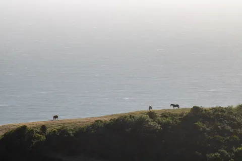 Monterey–Carmel–Big Sur, photo 39